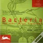 Capa do artigo Bactérias e Outros