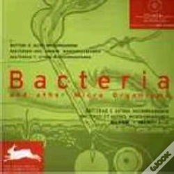 Capa do artigo Bactérias e Outros