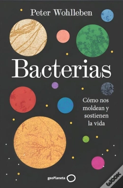 Capa do artigo Bacterias