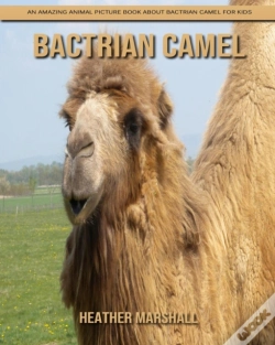 Capa do artigo Bactrian Camel