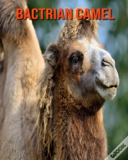 Capa do artigo Bactrian Camel