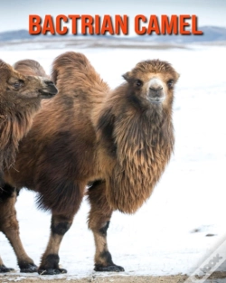 Capa do artigo Bactrian Camel