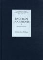 Bactrian Documents From Northern Afghanistan I - Preview
