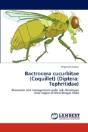 Bactrocera Cucurbitae  Coquillet   Dipte - Preview