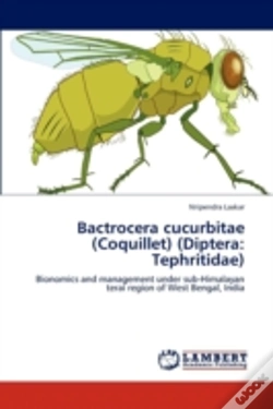 Capa do artigo Bactrocera Cucurbitae  Coquillet   Dipte