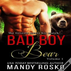 Capa do artigo Bad Boy Bear