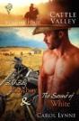 Bad Boy Cowboy - Preview