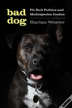 Capa do artigo Bad Dog