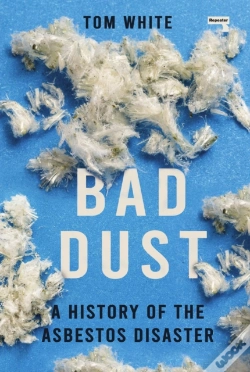 Capa do artigo Bad Dust