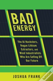 Capa do artigo Bad Energy