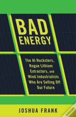 Capa do artigo Bad Energy