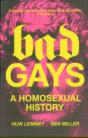 Bad Gays - Preview