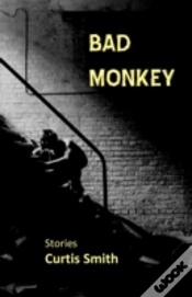 Capa do artigo Bad Monkey