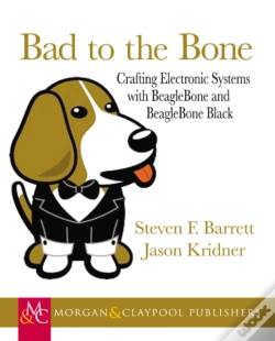 Capa do artigo Bad To The Bone