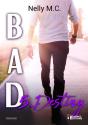 Bad Tome 5 - Destiny - Preview