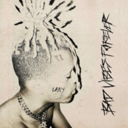 Capa do artigo Bad Vibes Forever - CD