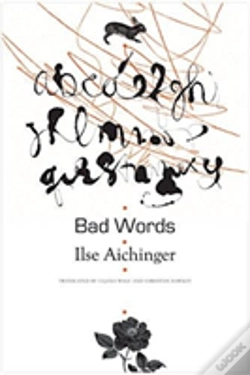 Capa do artigo Bad Words