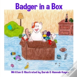 Capa do artigo Badger In A Box