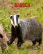 Badger - Preview