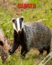 Capa do artigo Badger