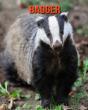 Badger - Preview