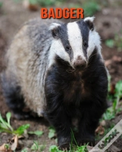 Capa do artigo Badger
