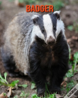 Capa do artigo Badger