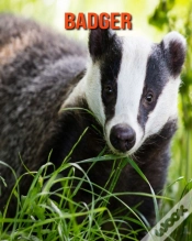 Capa do artigo Badger