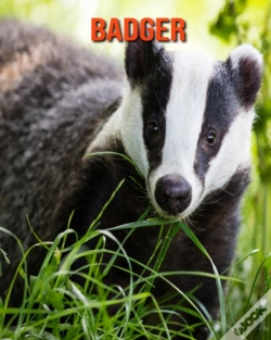Capa do artigo Badger