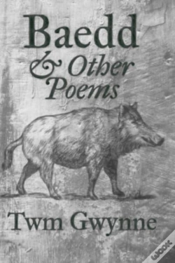 Capa do artigo Baedd And Other Poems