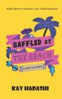 Baffled At The Beach - Preview