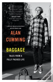Capa do artigo Baggage