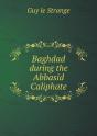 Baghdad During The Abbasid Caliphate - Preview