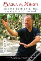 Bagua And Xingyi