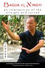 Bagua And Xingyi - Preview
