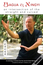 Capa do artigo Bagua And Xingyi