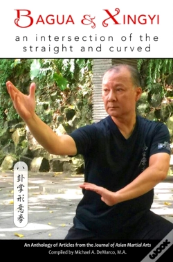 Capa do artigo Bagua And Xingyi