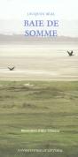 Baie De Somme : Marquenterre - Preview