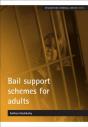 Bail Support Schemes For Adults - Preview