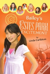 Capa do artigo Bailey
