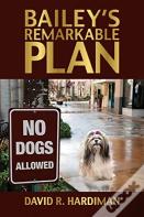 Bailey'S Remarkable Plan