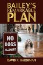 Bailey'S Remarkable Plan - Preview