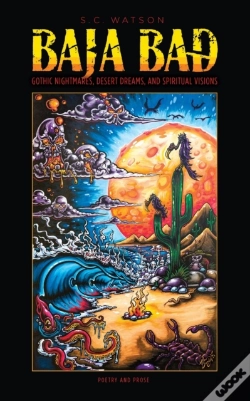 Capa do artigo Baja Bad