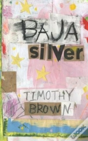 Capa do artigo Baja Silver