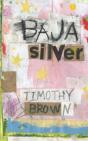 Baja Silver - Preview
