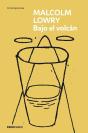 Bajo El Volcan - Preview