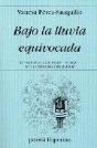Bajo La Lluvia Equivocada - Preview