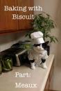 Baking With Biscuit Part - Preview