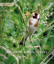 Capa do artigo Balade Au Pays Du Vivant