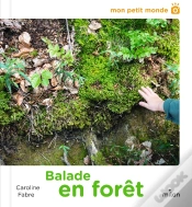 Capa do artigo Balade En Forêt